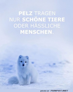 Pelz.jpg auf www.funpot.net