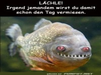 Grinsender Fisch mit humorvoller Botschaft
