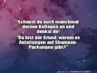 Denkst du an Kollegen und Shampoo-Anleitungen?