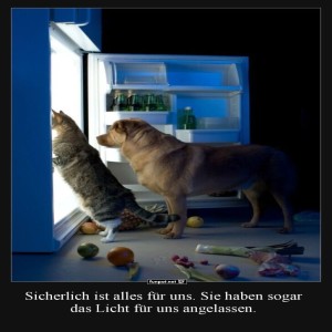 Katzen-und-Hunde-am-nchtlichen-Khlschrank.jpg von Celina93