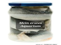 Lustiger Blick auf ein ungew�hnliches Aquarium