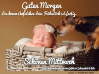 Guten Morgen am Mittwoch