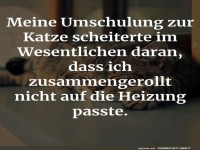 Zu gro� f�r die Katzenschule!