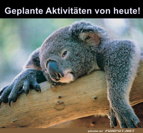 Heute-geht-nicht-mehr-viel.jpg auf www.funpot.net