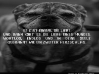 Wenn der Hundeliebe-Herzschlag bellt