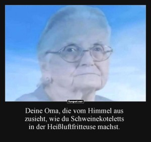 Wenn-Oma-skeptisch-zuschaut.jpg auf www.funpot.net
