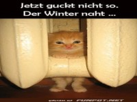Der Winterexperte im Heizstrahler!
