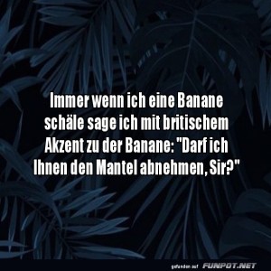 Banane-mit-britischem-Charme.jpg von Erwin32