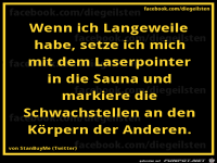 diegeilsten Laserpointer