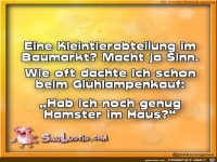 Eine-Kleintierabteilung-im-Baumarkt
