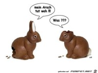 Na sowas