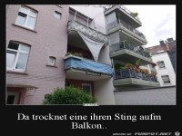 Ziemlich gro�er String