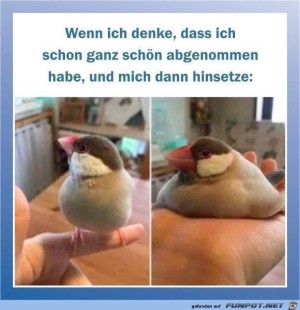 Toll-abgenommen-und-dann-setzt-man-sich-hin.jpg auf www.funpot.net