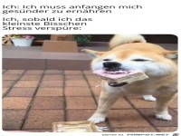 Ich muss mich gesnder ernhren