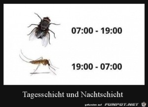 Tages--und-Nachtschicht.jpg auf www.funpot.net