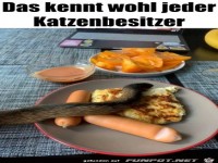 Katzenbesitzer kennen das