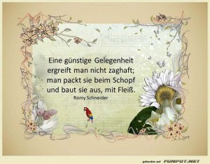 Eine-guenstige-Gelegenheit.jpg auf www.funpot.net