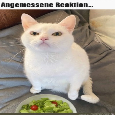 Was-soll-das-denn-sein?.jpg von Henry