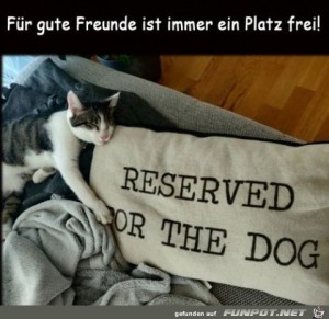 Platz-frei-fr-einen-Kumpel.jpg auf www.funpot.net