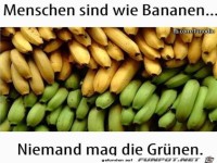 Die Gr�nen mag keiner