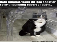 Unauff�llig gucken