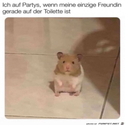Wo-ist-sie-hin?.jpg von Alya
