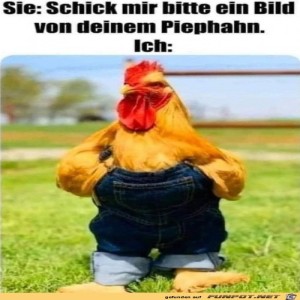 fun-Bild: Gut gemacht