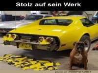Stolzer K�nstler