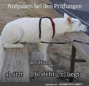 Aufgaben-in-Prfungen.jpg auf www.funpot.net
