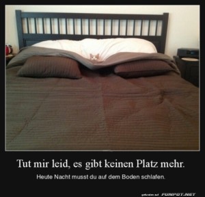 Kuschelige-Katze-im-Bett-entfaltet-sich-kniglich.jpg auf www.funpot.net