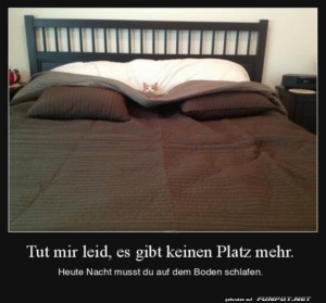 fun-Bild: Kuschelige Katze im Bett entfaltet sich königlich
