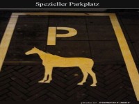 Spezialparkplatz f�r Pferde