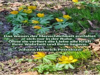 das wesen der menschlichkeit