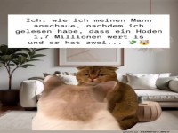 Lustiger Katzenblick auf versteckten Wert