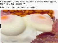 Eier ganz ohne Scham!