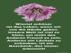 weiter