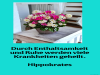 weiter