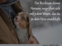 Herzenswrme in Fellform