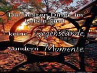 Ein Bank mit Aussicht... auf den Herbst!