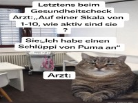 Wenn der Puma-Unterw�sche deine Aktivit�t bestimmt