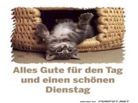 Sch�nen Dienstag