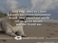 Grund
