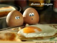 IMG 1100137775484901