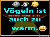 Voegeln