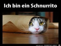 Schnurrito