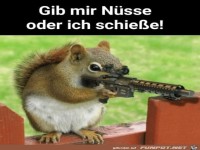 Her mit den N�ssen