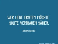 wer liebe ernten moechte