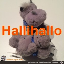 Hallihallo.jpg auf www.funpot.net