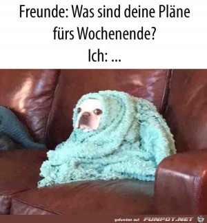 Pl�ne-f�rs-Wochenende.jpg auf www.funpot.net