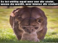 Vllig egal wer vor dir steht